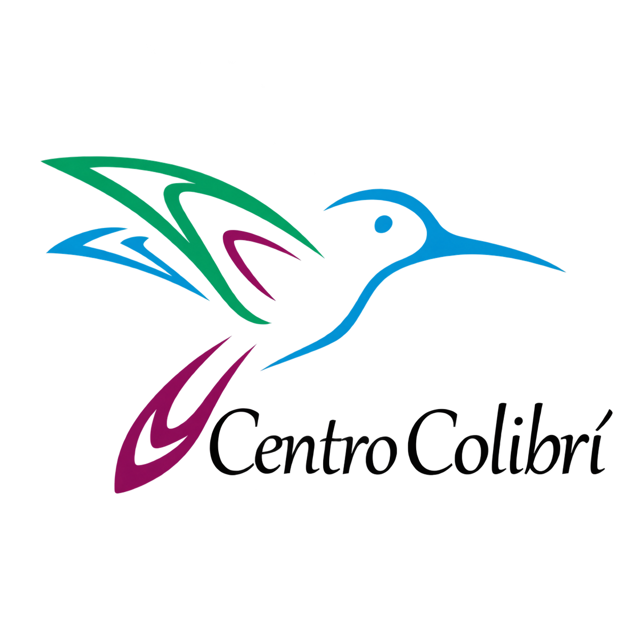 Hummingbird symbol of Centro Colibrí